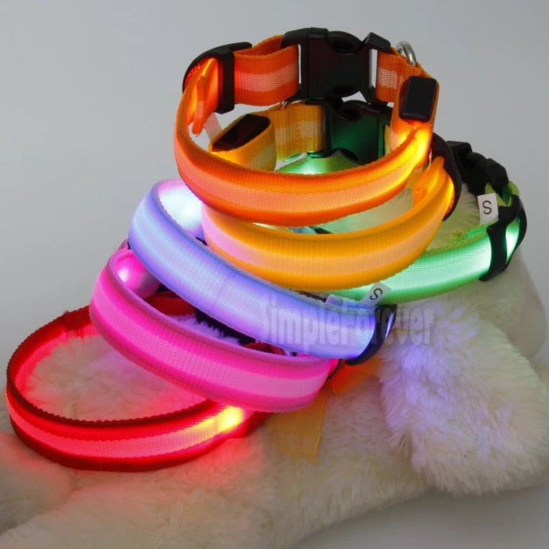 Collar de seguridad nocturno LED brillante