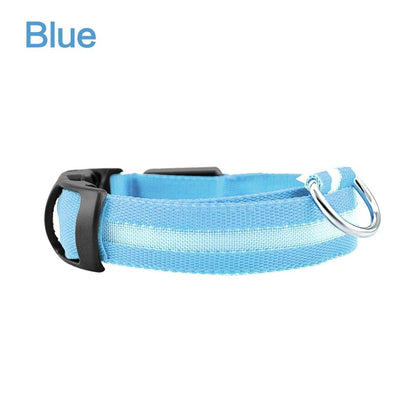 LED Glowing Night Safety Collar