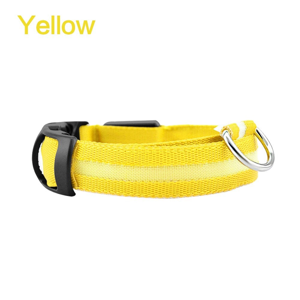 Collar de seguridad nocturno LED brillante