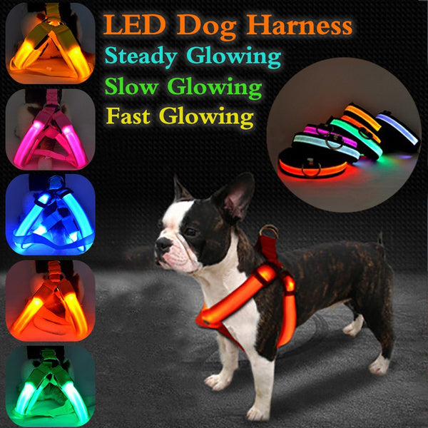 Arnés LED de nailon para seguridad de mascotas