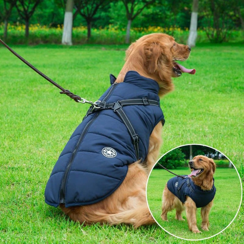 Chaqueta impermeable para perros con arnés