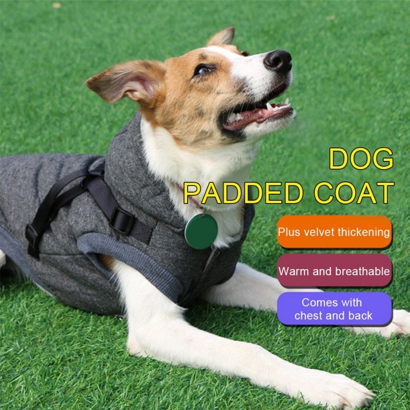 Abrigo con arnés ajustable y acolchado de forro polar para perros