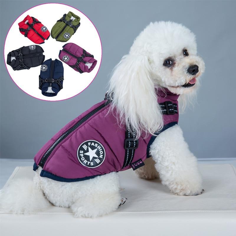 Chaqueta impermeable para perros con arnés