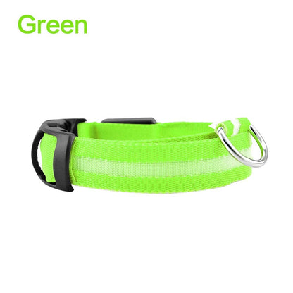 Collar de seguridad nocturno LED brillante