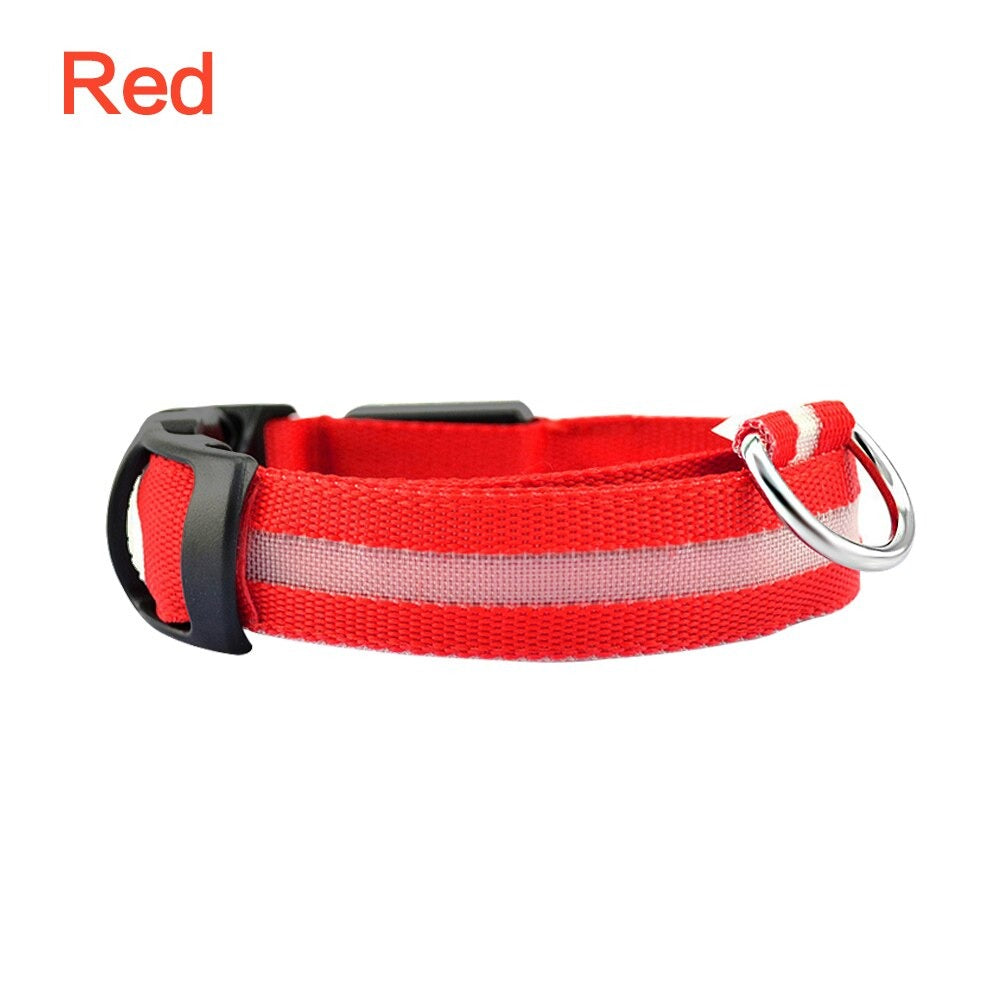 Collar de seguridad nocturno LED brillante