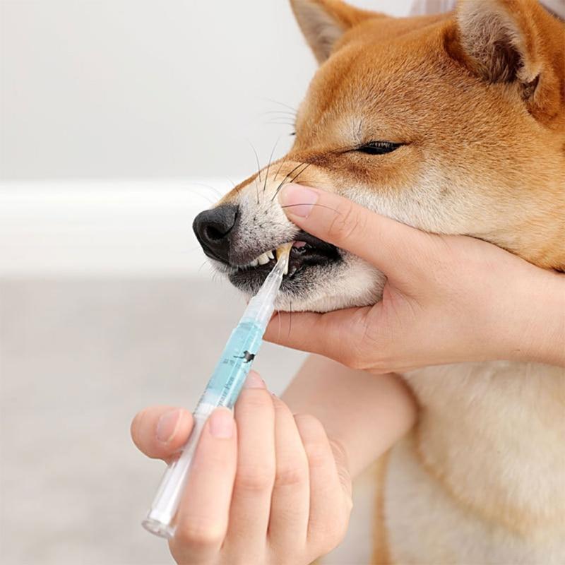Pluma de limpieza de dientes para mascotas